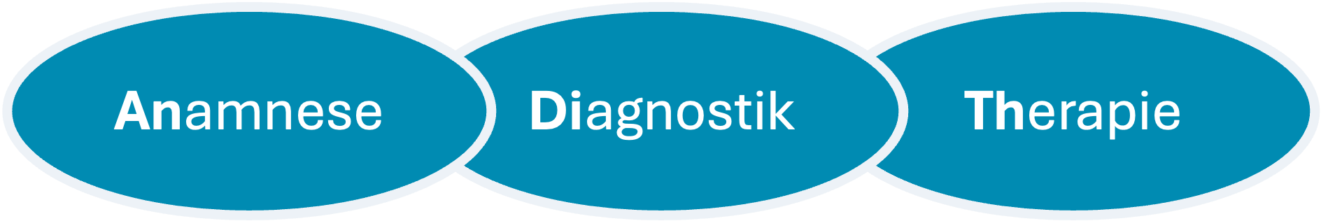 Anamnese, Diagnostik, Therapie
